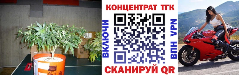 ТГК концентрат цена наркотик Нововоронеж