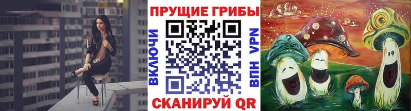 Галлюциногенные грибы прущие грибы  нарко площадка формула  Нововоронеж 