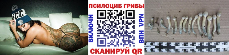 Псилоцибиновые грибы GOLDEN TEACHER Нововоронеж